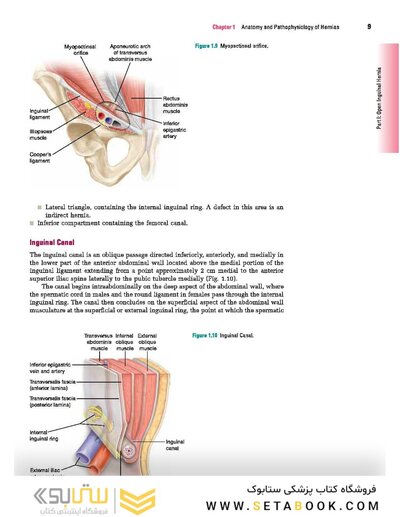 Master Techniques in Surgery: Hernia