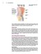 Master Techniques in Surgery: Hernia