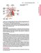 Master Techniques in Surgery: Hernia