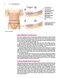 Master Techniques in Surgery: Hernia