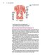 Master Techniques in Surgery: Hernia