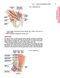 Master Techniques in Surgery: Hernia