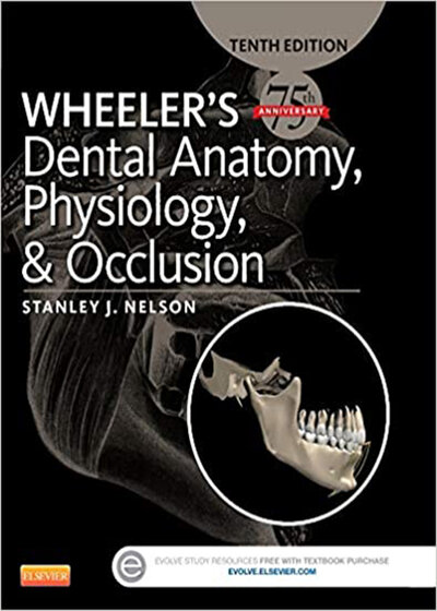 Wheeler's Dental Anatomy, Physiology and Occlusion فیزیولوژی و آناتومی ویلر