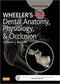 Wheeler's Dental Anatomy, Physiology and Occlusion فیزیولوژی و آناتومی ویلر