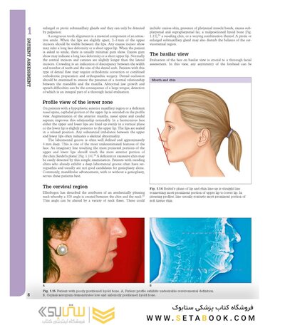 Aesthetic Plastic Surgery Video Atlas