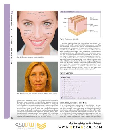 Aesthetic Plastic Surgery Video Atlas