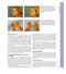 Aesthetic Plastic Surgery Video Atlas
