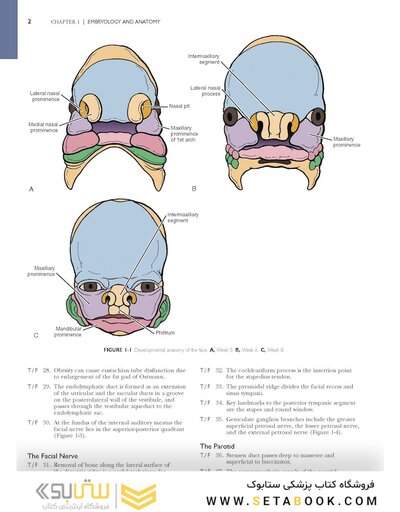Self-Assessment in Otolaryngology