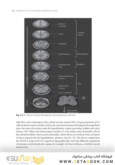 Surgery of the Autonomic Nervous System