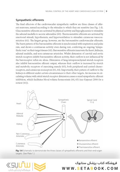 Surgery of the Autonomic Nervous System