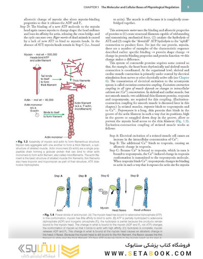 2019 Cunningham's Textbook of Veterinary Physiology 6th Edition