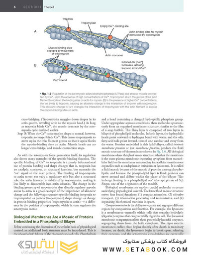 2019 Cunningham's Textbook of Veterinary Physiology 6th Edition