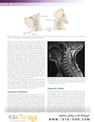 Essentials of Physical Medicine and Rehabilitation