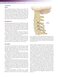 Essentials of Physical Medicine and Rehabilitation