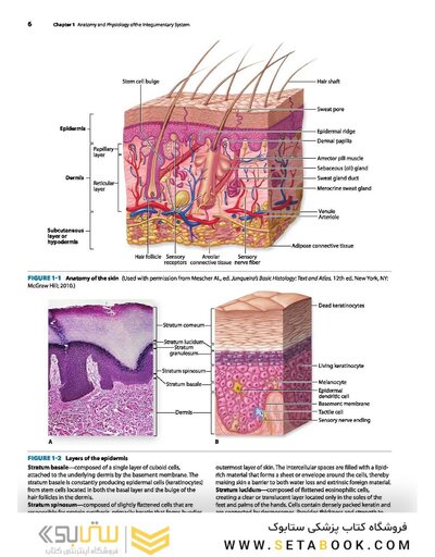 2019 Text and Atlas of Wound Diagnosis and Treatment, Second Edition 2nd Edition