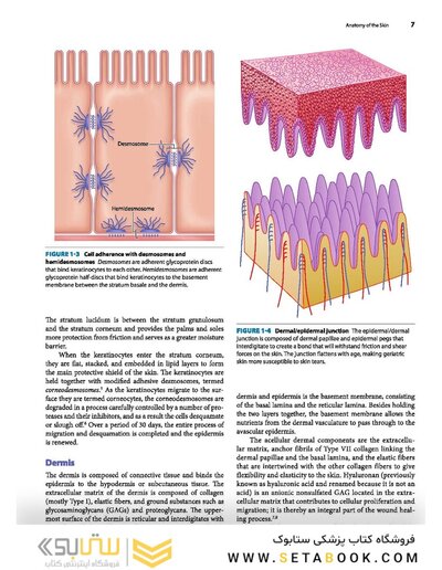 2019 Text and Atlas of Wound Diagnosis and Treatment, Second Edition 2nd Edition