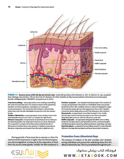 2019 Text and Atlas of Wound Diagnosis and Treatment, Second Edition 2nd Edition