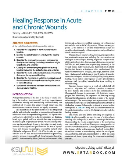 2019 Text and Atlas of Wound Diagnosis and Treatment, Second Edition 2nd Edition