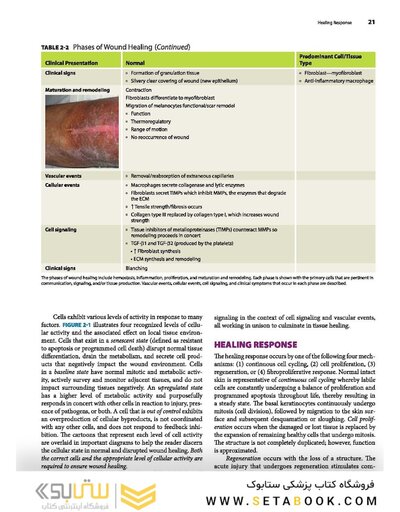 2019 Text and Atlas of Wound Diagnosis and Treatment, Second Edition 2nd Edition