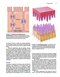 2019 Text and Atlas of Wound Diagnosis and Treatment, Second Edition 2nd Edition