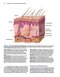 2019 Text and Atlas of Wound Diagnosis and Treatment, Second Edition 2nd Edition