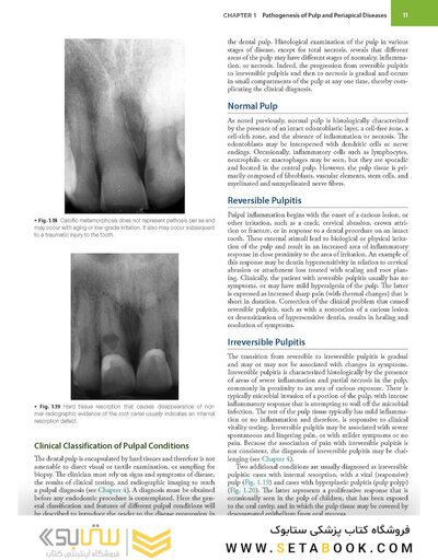 Endodontics: Principles and Practice 6th Edition 2021