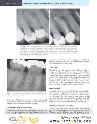 Endodontics: Principles and Practice 6th Edition 2021