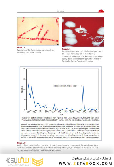 Red Book Atlas of Pediatric Infectious Diseases