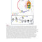Red Book Atlas of Pediatric Infectious Diseases