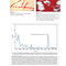 Red Book Atlas of Pediatric Infectious Diseases