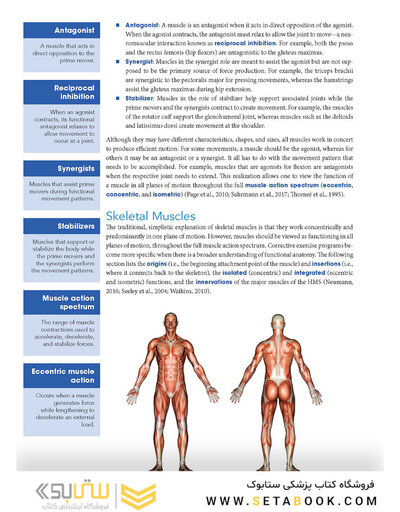 Corrective Exercise Training