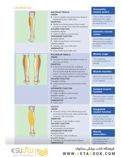 Corrective Exercise Training
