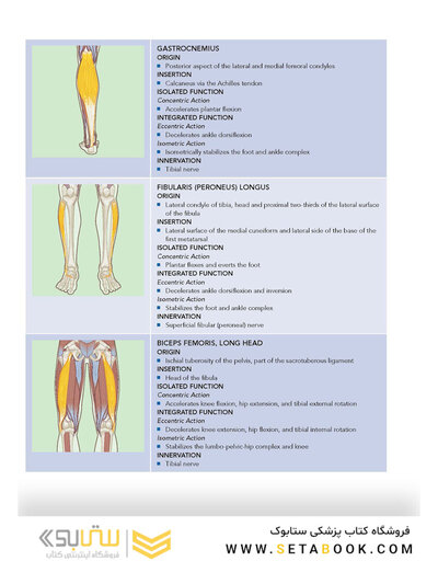 Corrective Exercise Training