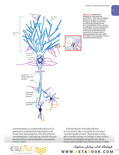 Stahl's Essential Psychopharmacology: Neuroscientific Basis and Practical Applications