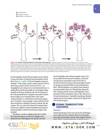 Stahl's Essential Psychopharmacology: Neuroscientific Basis and Practical Applications