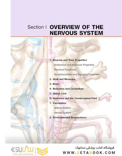 Netter’s Atlas of Neuroscience