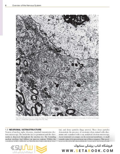 Netter’s Atlas of Neuroscience