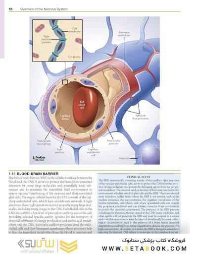Netter’s Atlas of Neuroscience