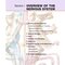 Netter’s Atlas of Neuroscience