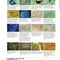 Netter’s Atlas of Neuroscience