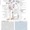 Netter’s Atlas of Neuroscience