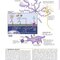 Netter’s Atlas of Neuroscience