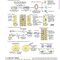 Netter’s Atlas of Neuroscience