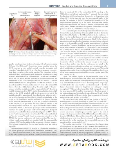 Noyes’ Knee Disorders: Surgery, Rehabilitation, Clinical Outcomes, 2nd Edition 2016