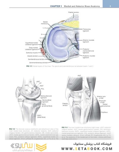 Noyes’ Knee Disorders: Surgery, Rehabilitation, Clinical Outcomes, 2nd Edition 2016