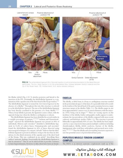 Noyes’ Knee Disorders: Surgery, Rehabilitation, Clinical Outcomes, 2nd Edition 2016