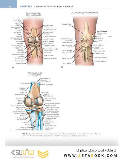 Noyes’ Knee Disorders: Surgery, Rehabilitation, Clinical Outcomes, 2nd Edition 2016