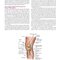 Noyes’ Knee Disorders: Surgery, Rehabilitation, Clinical Outcomes, 2nd Edition 2016