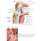 Noyes’ Knee Disorders: Surgery, Rehabilitation, Clinical Outcomes, 2nd Edition 2016