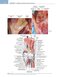 Noyes’ Knee Disorders: Surgery, Rehabilitation, Clinical Outcomes, 2nd Edition 2016